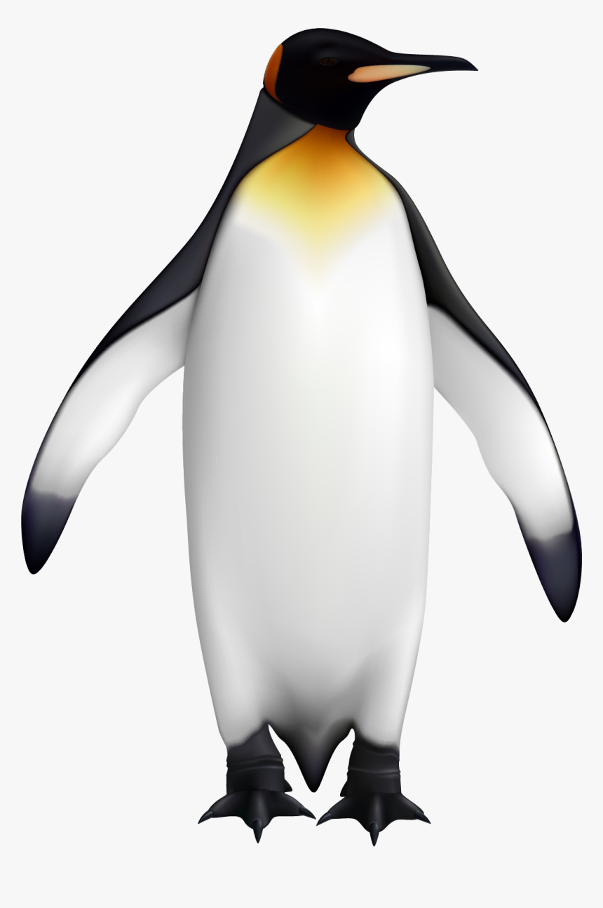 Detail Penguin Images Free Download Nomer 48