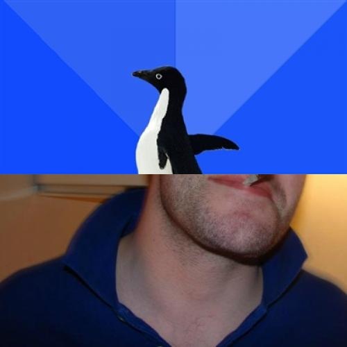 Detail Penguin Meme Generator Nomer 20