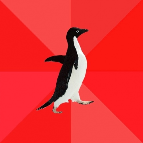 Detail Penguin Meme Generator Nomer 4