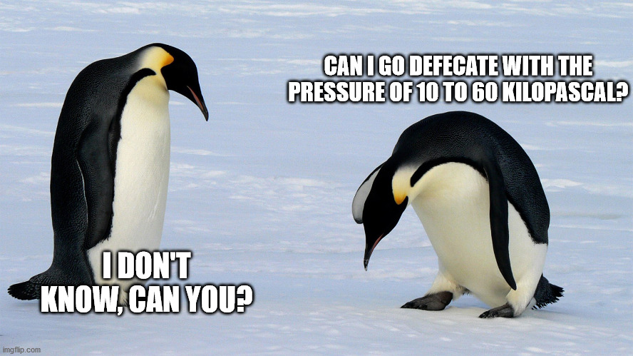 Detail Penguin Meme Generator Nomer 50