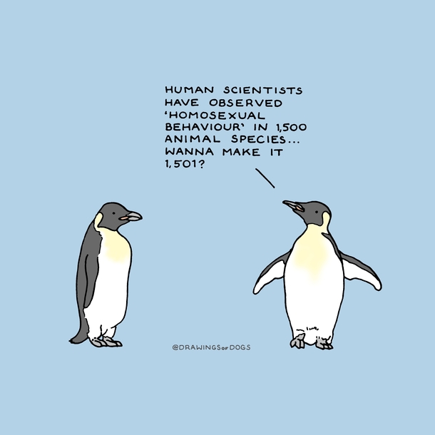 Detail Penguin Meme Generator Nomer 56