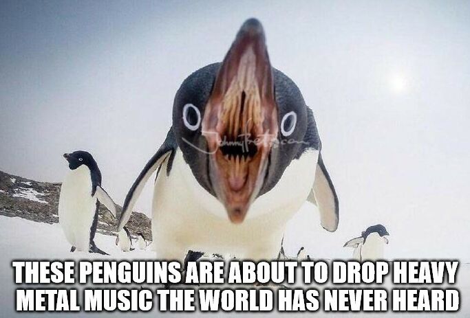 Detail Penguin Of Doom Meme Nomer 28