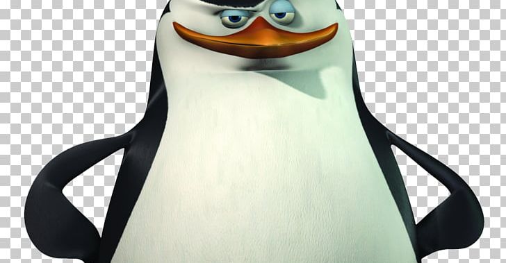 Detail Penguin Of Madagascar Skipper Nomer 17