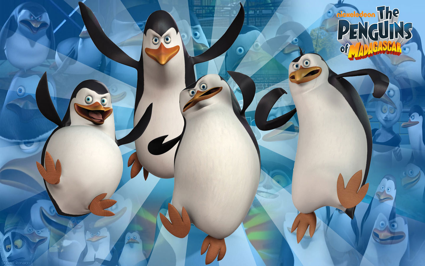 Detail Penguin Of Madagascar Wallpaper Nomer 29