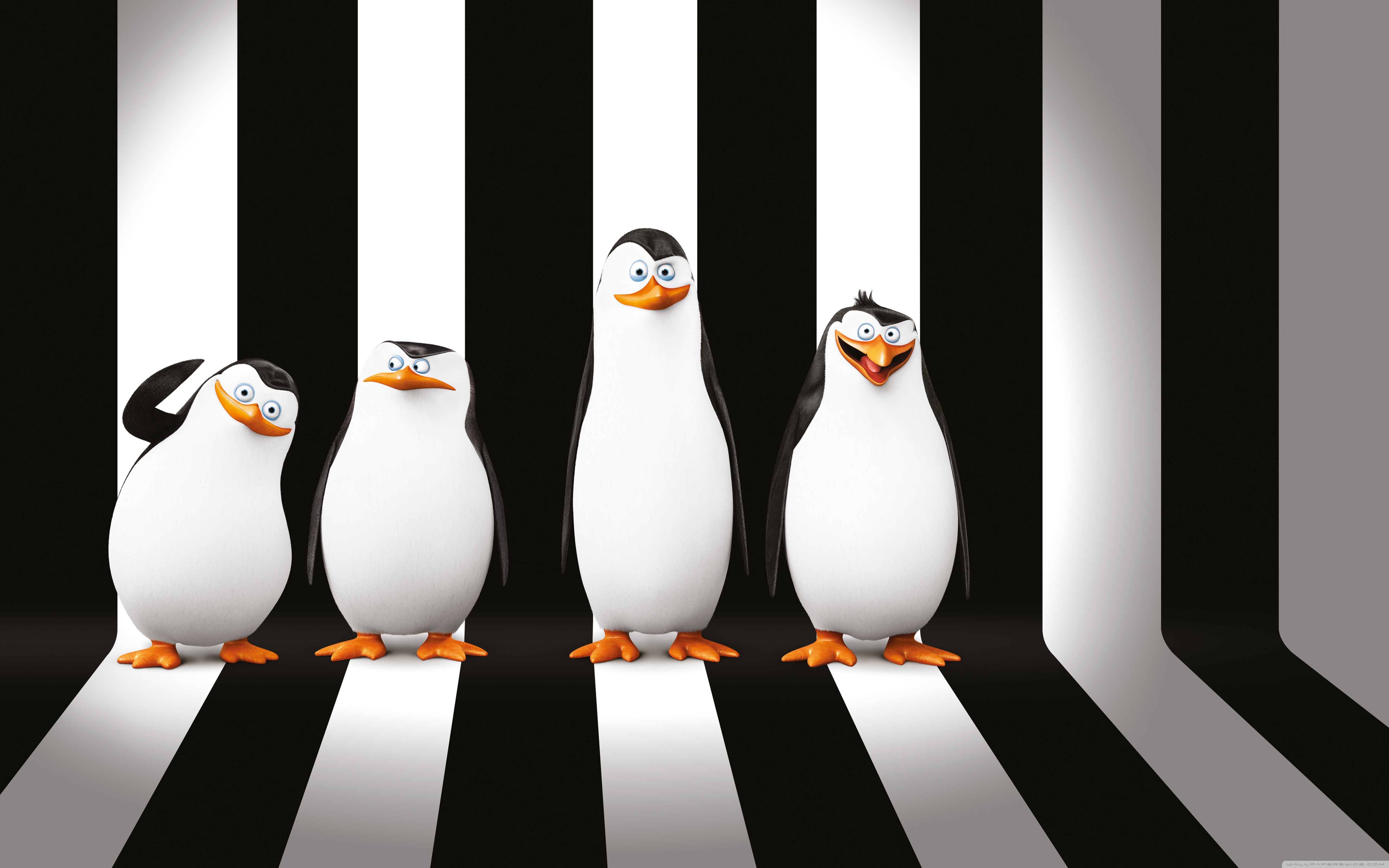 Detail Penguin Of Madagascar Wallpaper Nomer 9