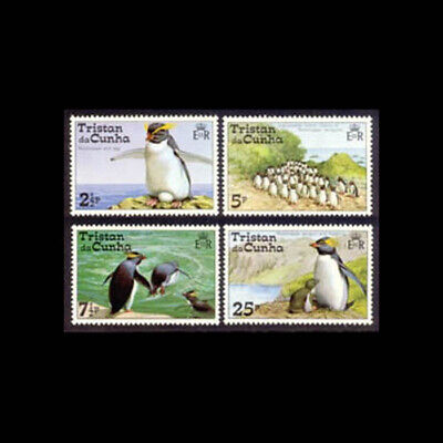 Detail Penguin Picture 94 Nomer 45