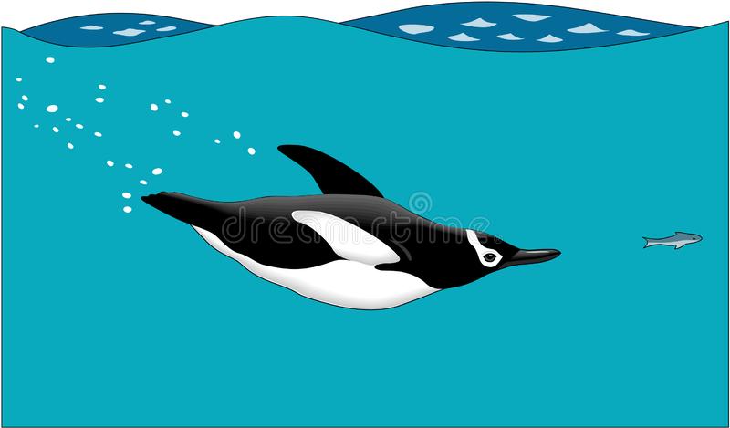 Penguin Swimming Clipart - KibrisPDR