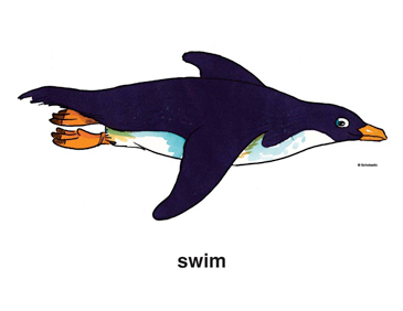 Detail Penguin Swimming Clipart Nomer 15