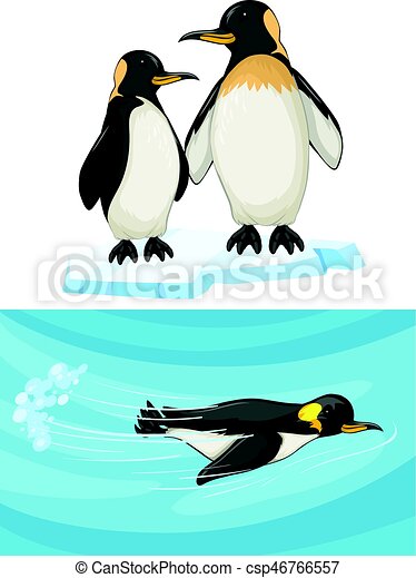 Detail Penguin Swimming Clipart Nomer 16