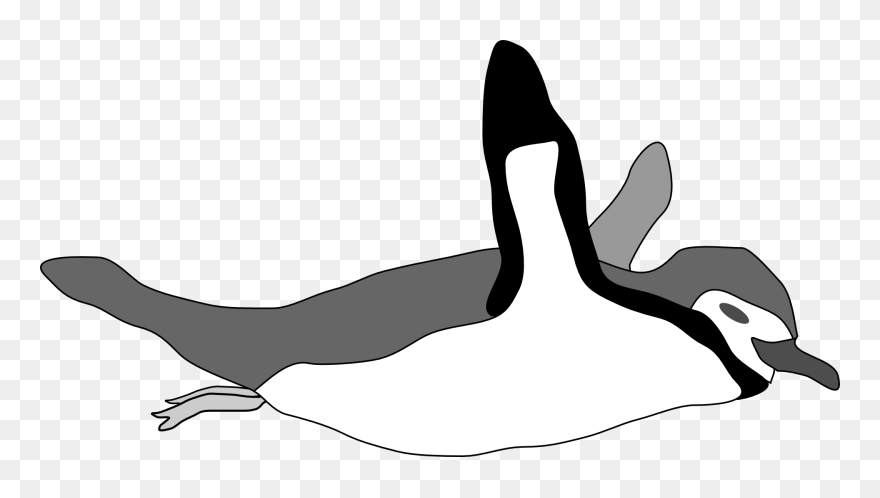 Detail Penguin Swimming Clipart Nomer 24