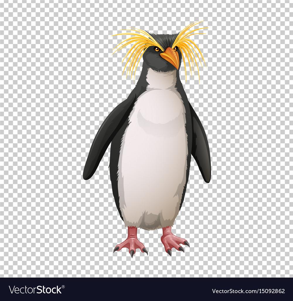 Detail Penguin Transparent Nomer 12