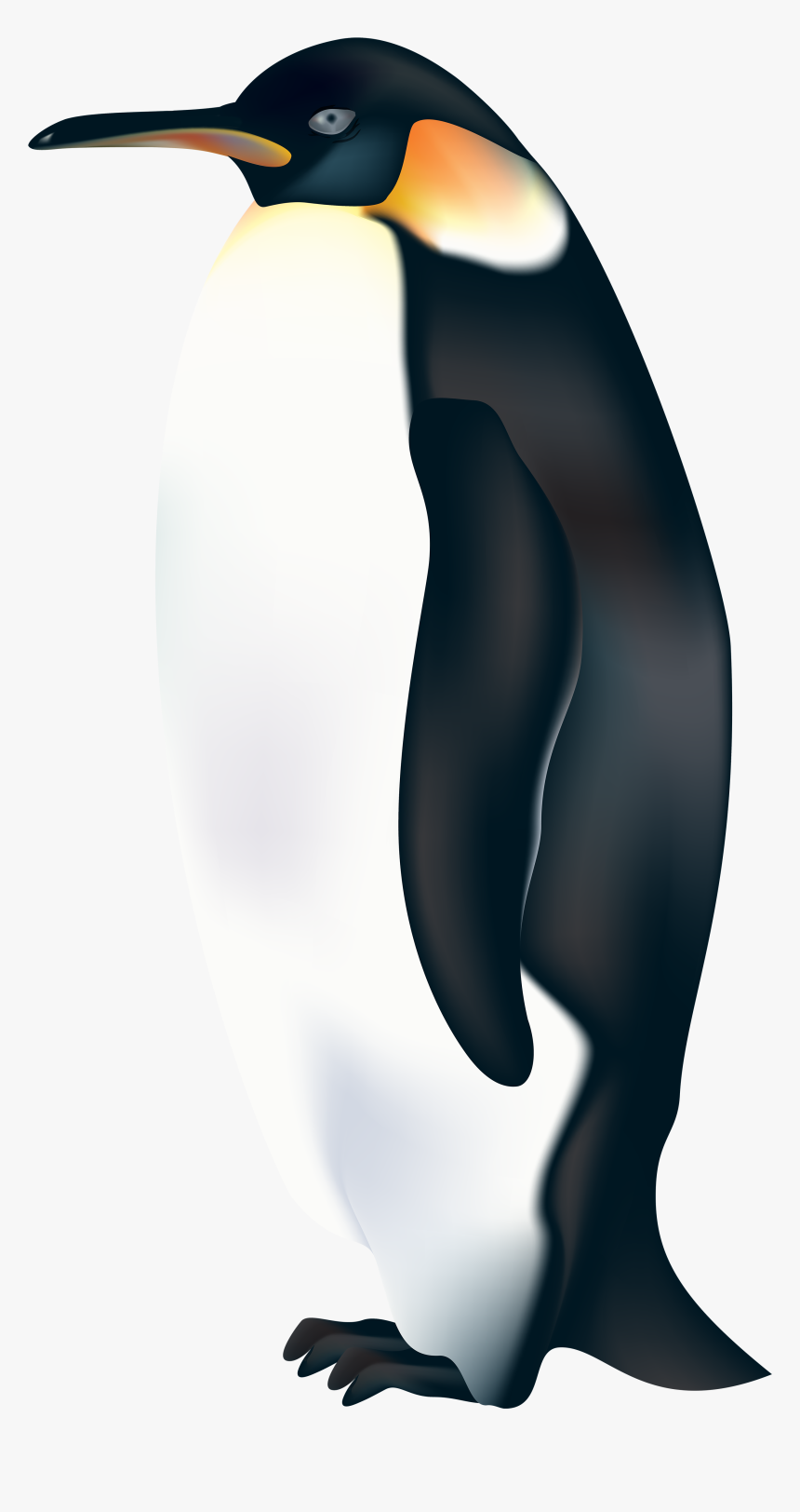 Detail Penguin Transparent Nomer 16