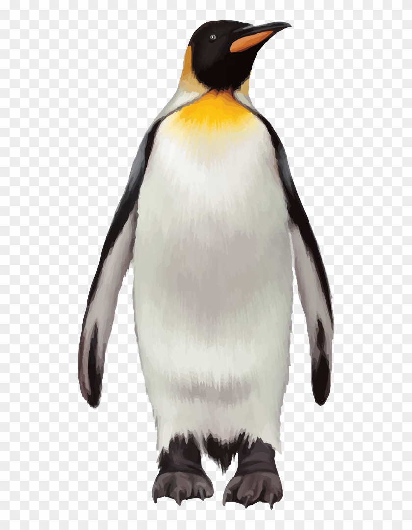 Penguin Transparent - KibrisPDR