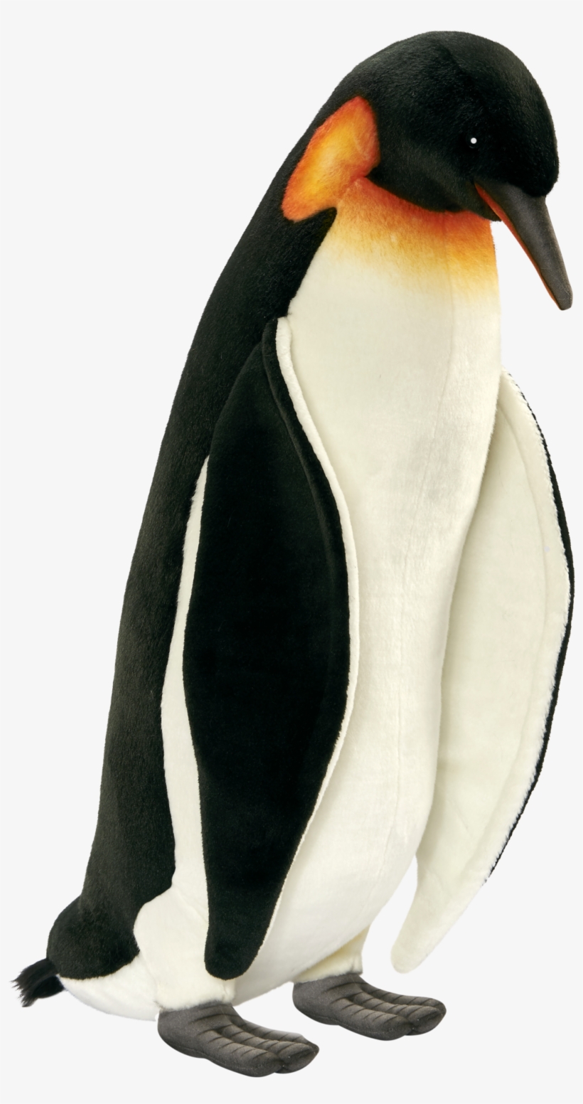 Detail Penguin Transparent Nomer 19