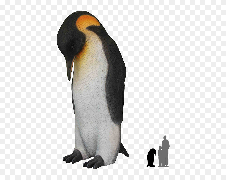 Detail Penguin Transparent Nomer 20