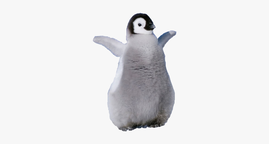 Detail Penguin Transparent Nomer 5