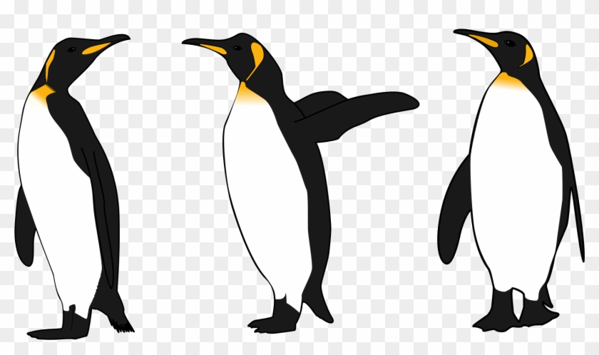 Detail Penguins Clipart Nomer 52
