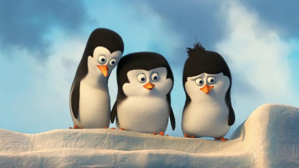 Detail Penguins From Madagascar Nomer 25