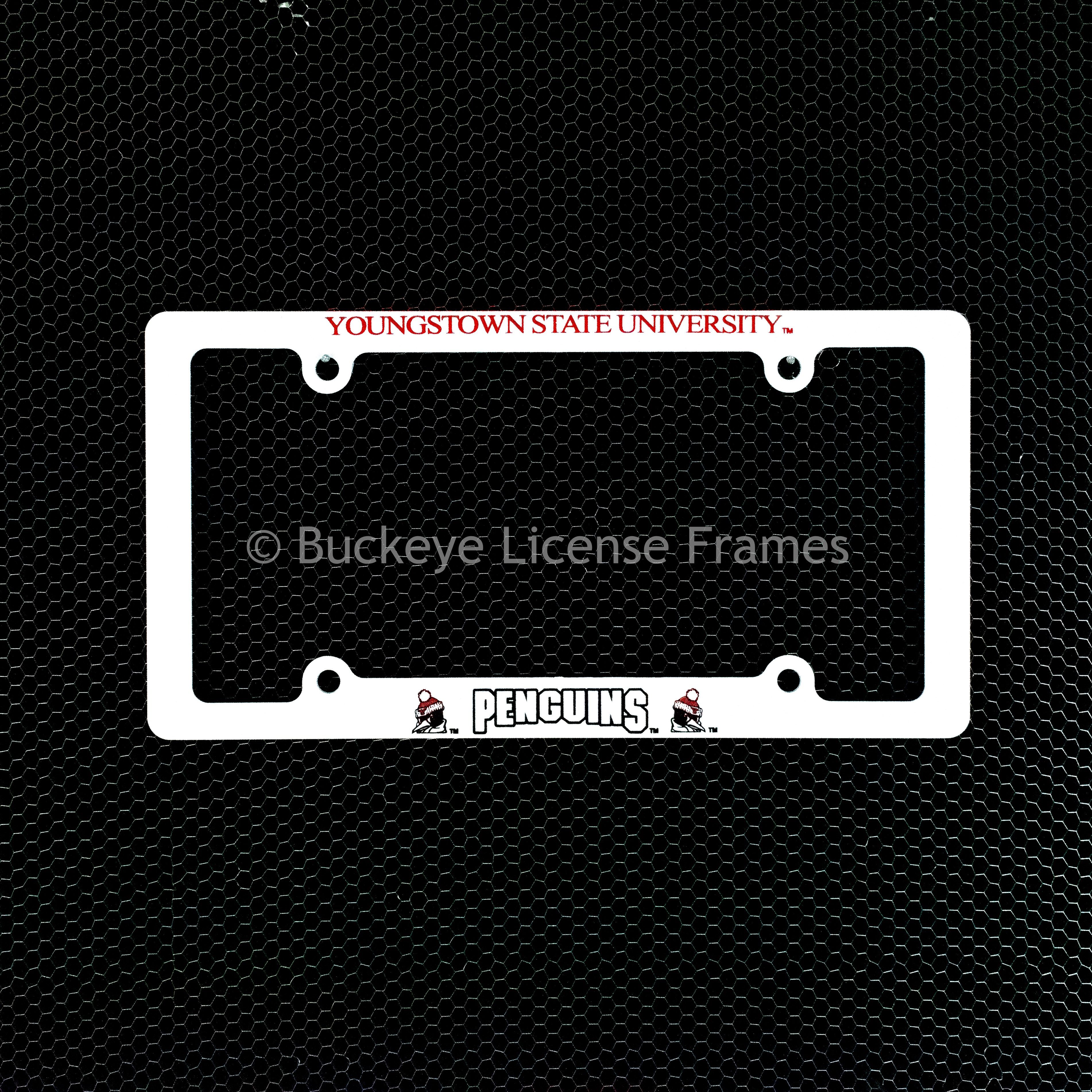 Detail Penguins License Plate Frame Nomer 42