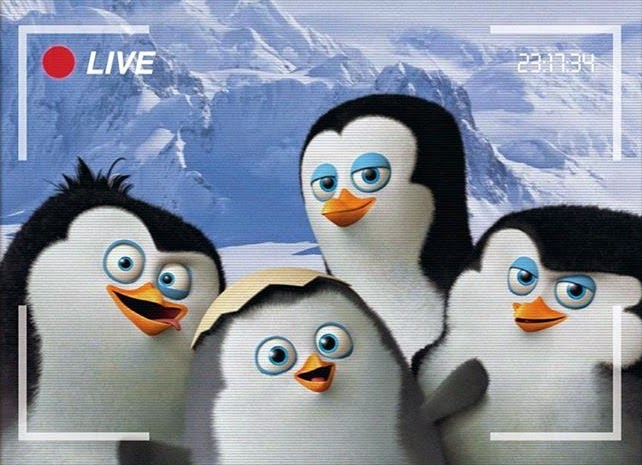 Detail Penguins Of Madagascar Baby Squid Nomer 47