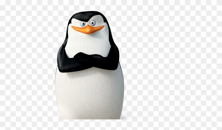 Detail Penguins Of Madagascar Free Nomer 20