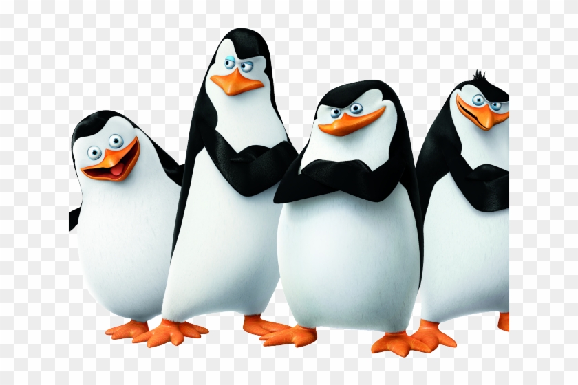 Detail Penguins Of Madagascar Full Movie Free Download Nomer 21