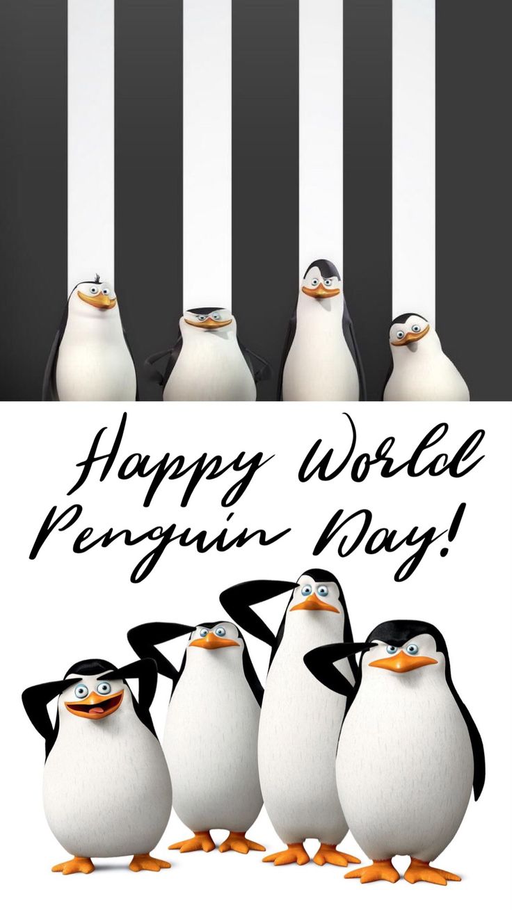 Detail Penguins Of Madagascar Happy Birthday Nomer 39