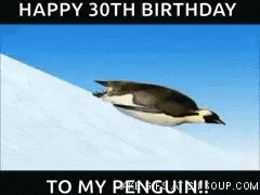 Detail Penguins Of Madagascar Happy Birthday Nomer 46