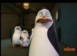 Detail Penguins Of Madagascar Hot Ice Nomer 5