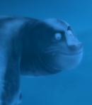 Detail Penguins Of Madagascar Leopard Seal Nomer 18