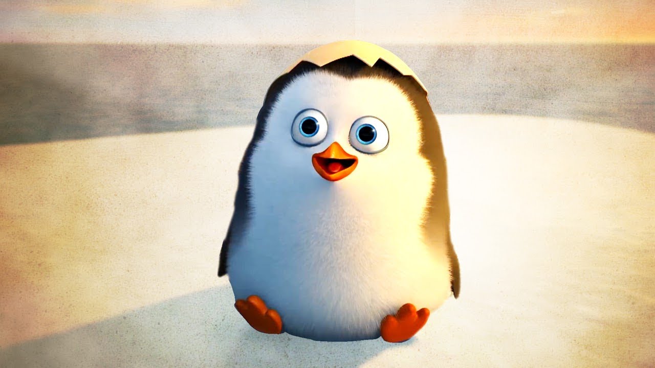 Detail Penguins Of Madagascar Picture Nomer 57