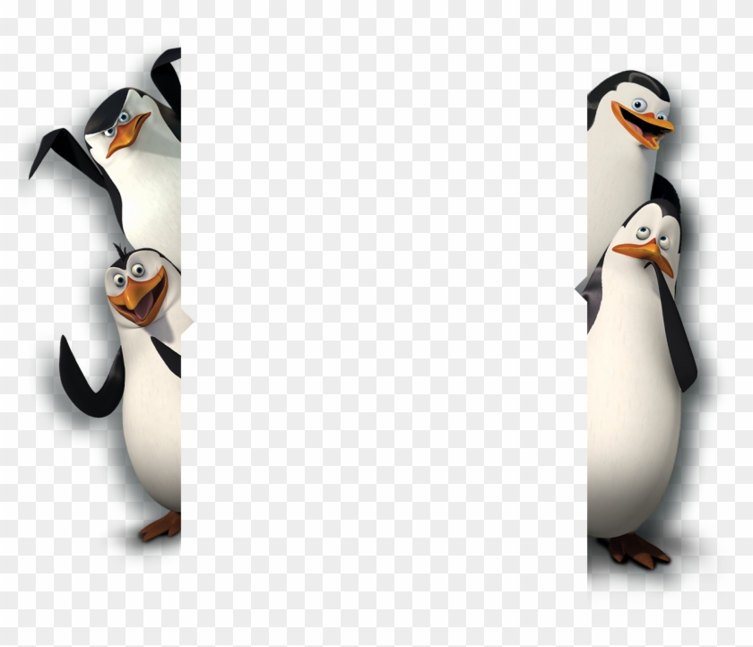 Detail Penguins Of Madagascar Png Nomer 11