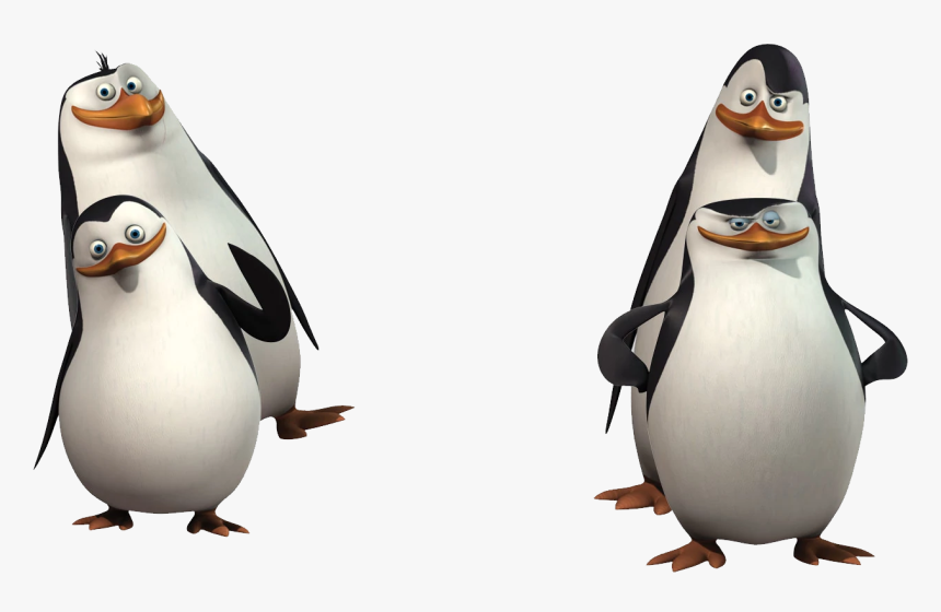 Detail Penguins Of Madagascar Png Nomer 20