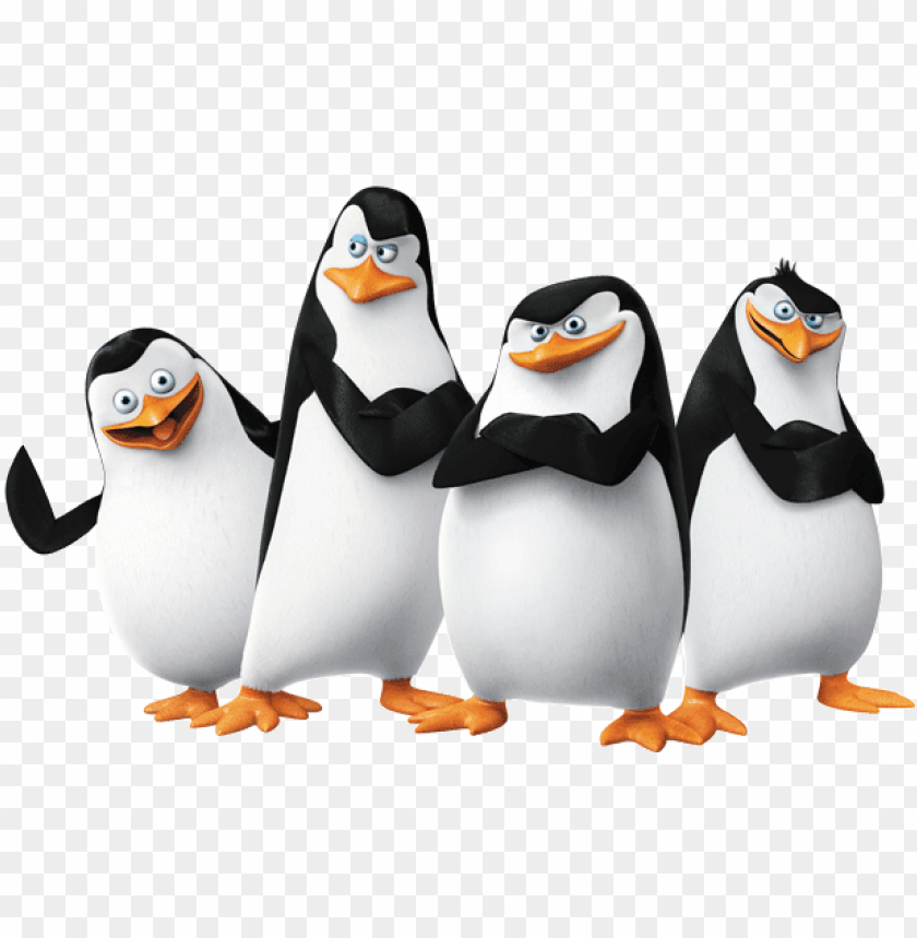 Detail Penguins Of Madagascar Png Nomer 3