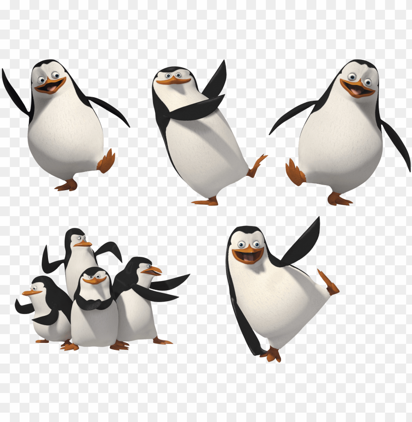 Detail Penguins Of Madagascar Png Nomer 23