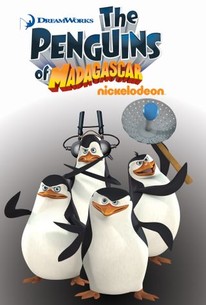 Detail Penguins Of Madagascar Show Nomer 21