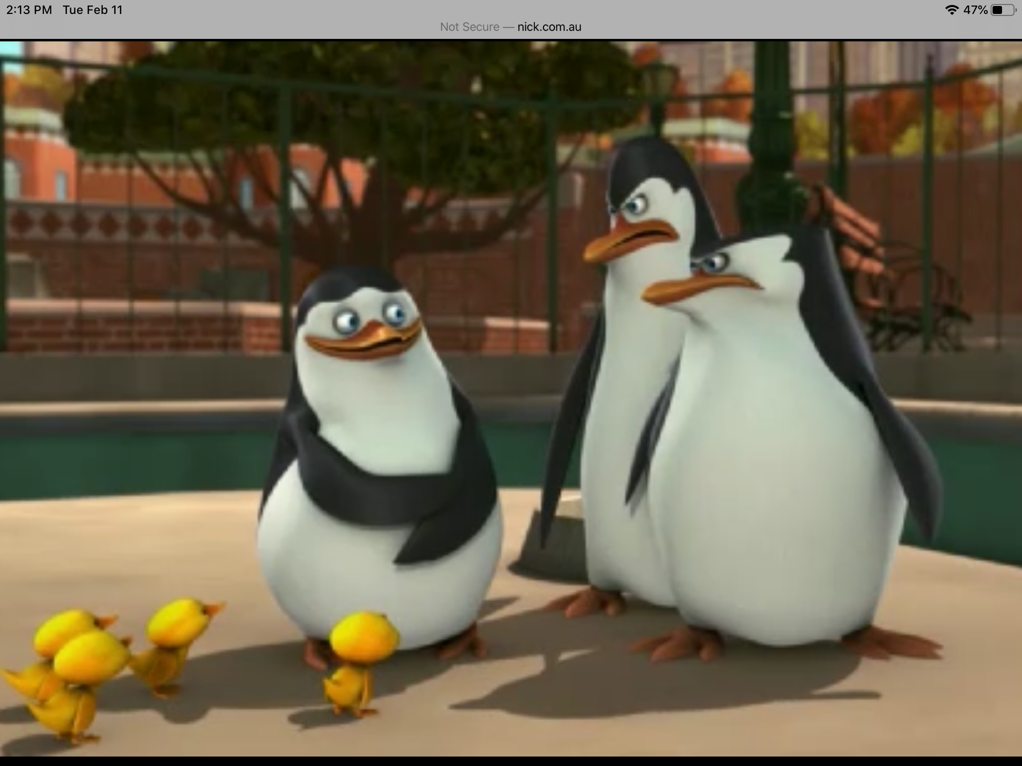 Detail Penguins Of Madagascar Show Nomer 47