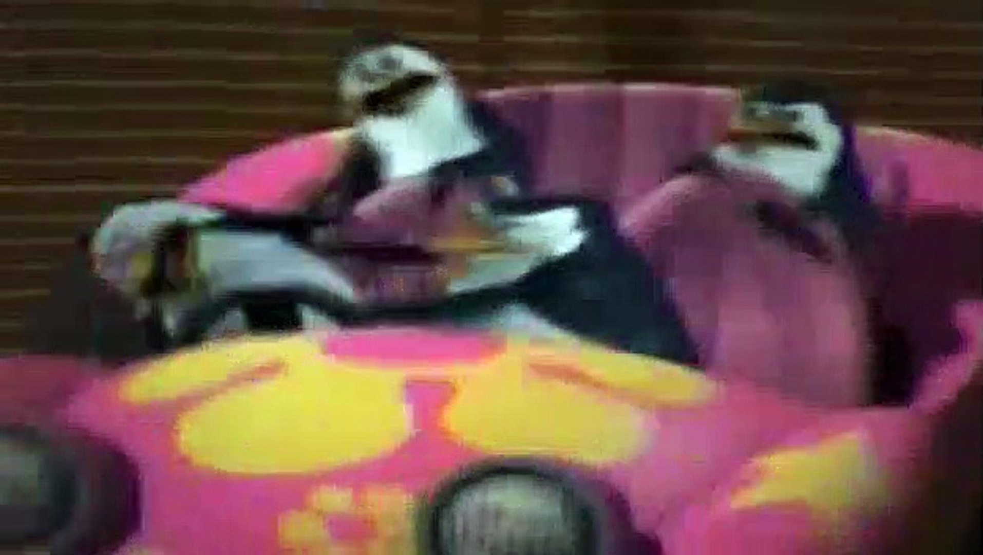 Detail Penguins Of Madagascar Stop Bugging Me Nomer 12