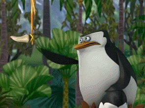 Detail Penguins Of Madagascar Stop Bugging Me Nomer 17