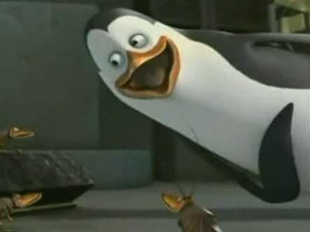 Detail Penguins Of Madagascar Stop Bugging Me Nomer 24
