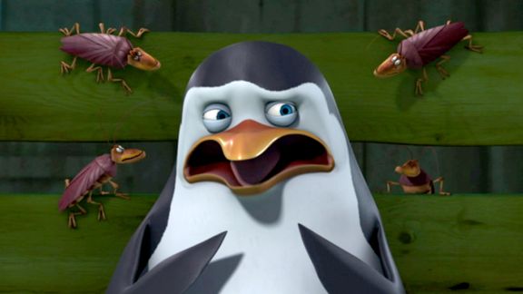 Detail Penguins Of Madagascar Stop Bugging Me Nomer 30