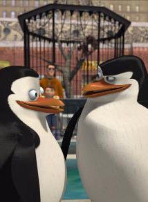 Detail Penguins Of Madagascar Stop Bugging Me Nomer 38