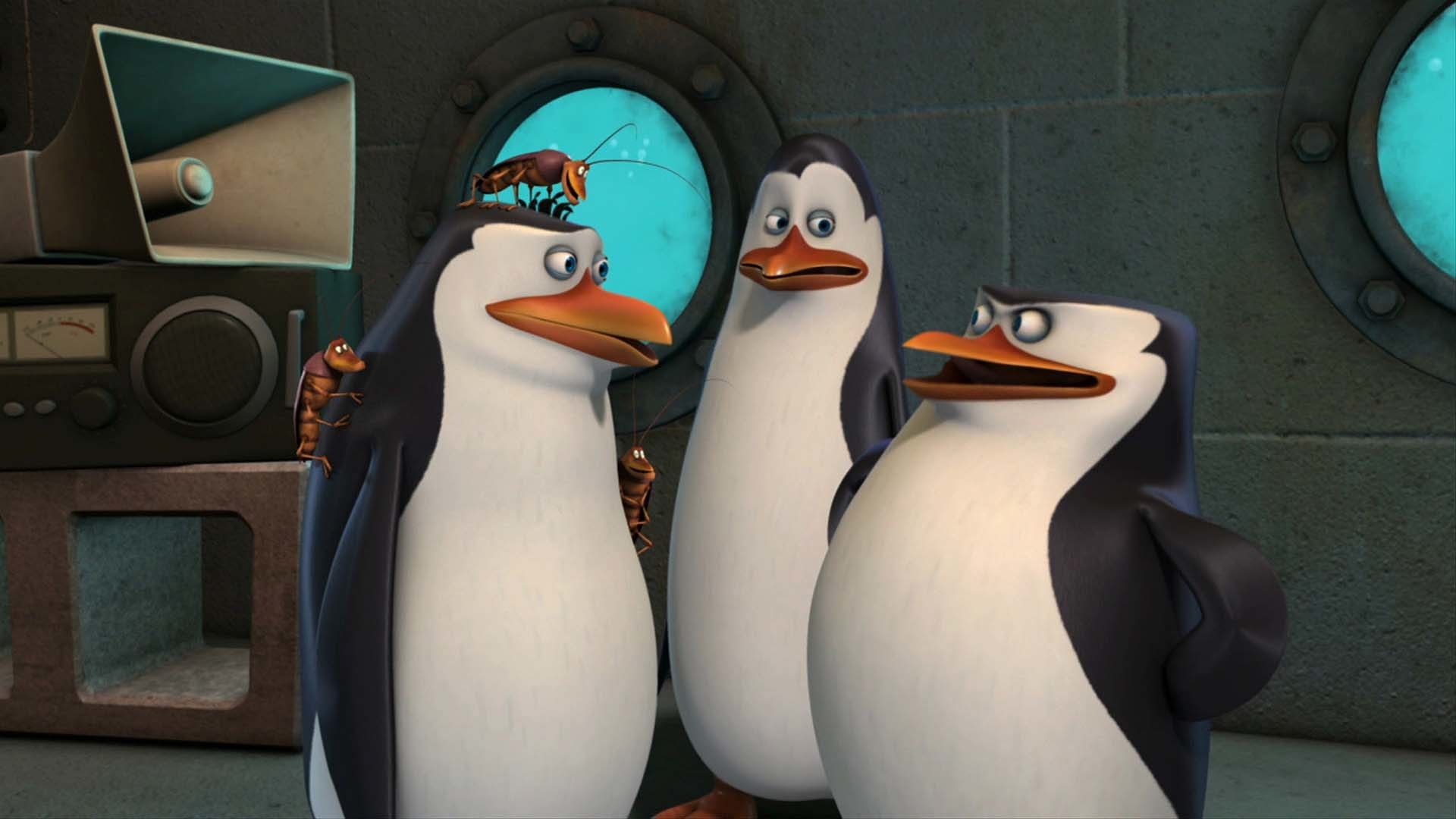 Detail Penguins Of Madagascar Stop Bugging Me Nomer 7