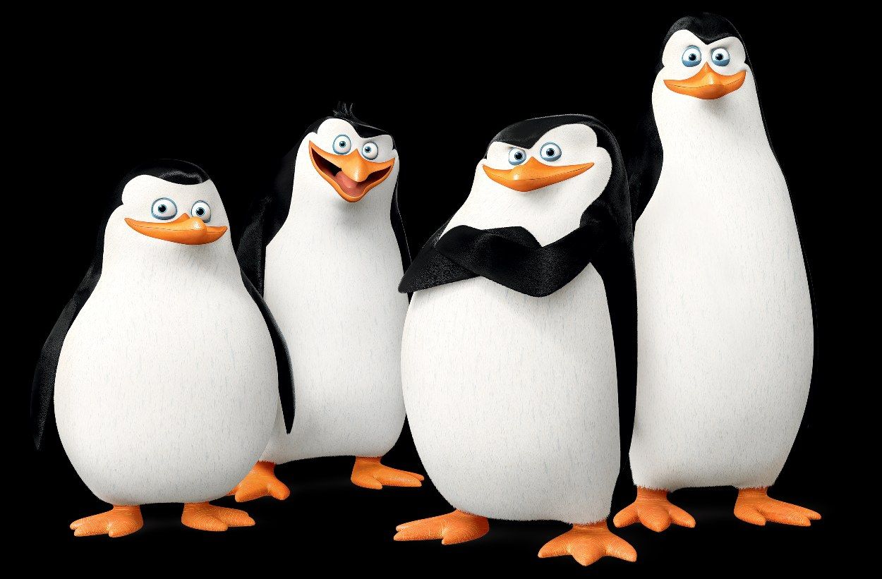 Detail Penguins Of Madagascar Wallpapers Nomer 13