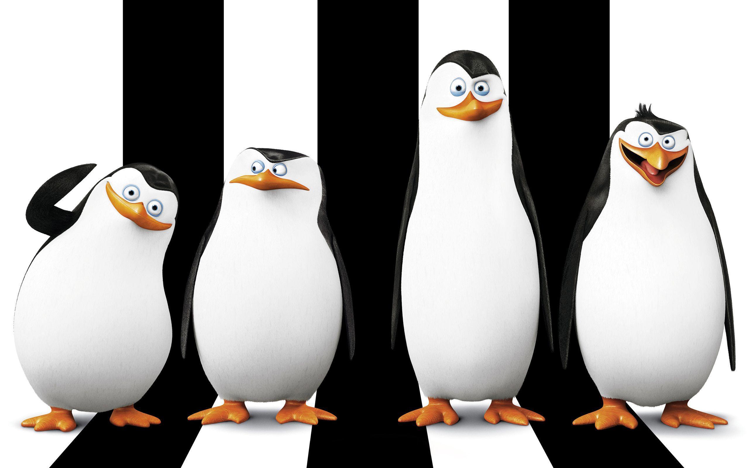 Detail Penguins Of Madagascar Wallpapers Nomer 4