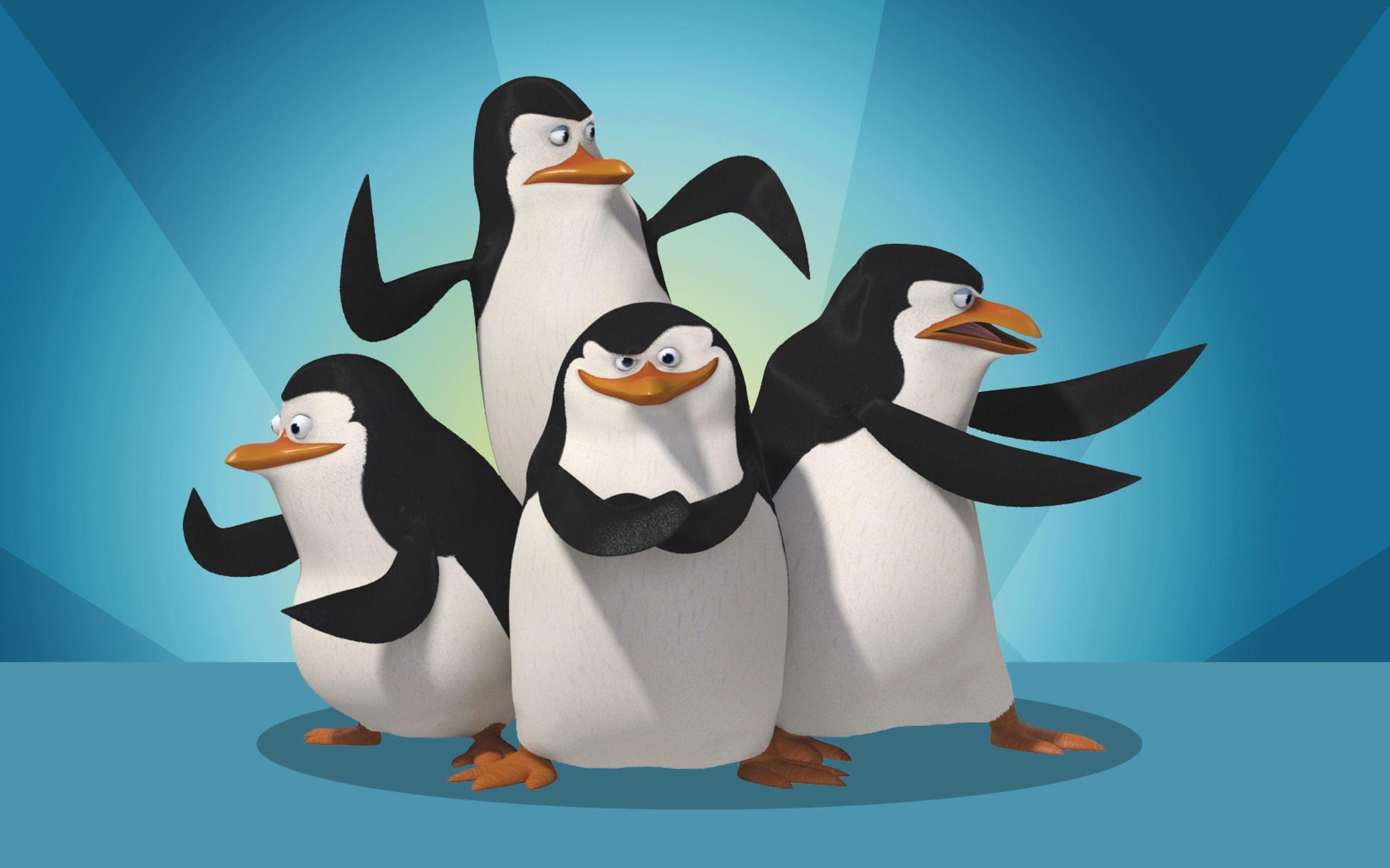 Detail Penguins Of Madagascar Wallpapers Nomer 6