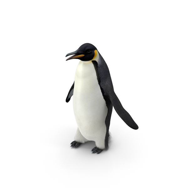 Detail Penguins Png Nomer 12