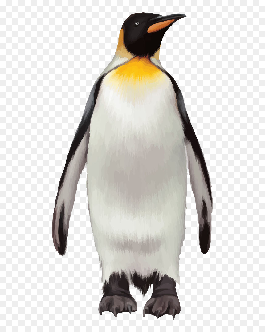 Detail Penguins Png Nomer 17