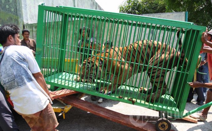 Detail Penjaga Kebun Binatang Nomer 8