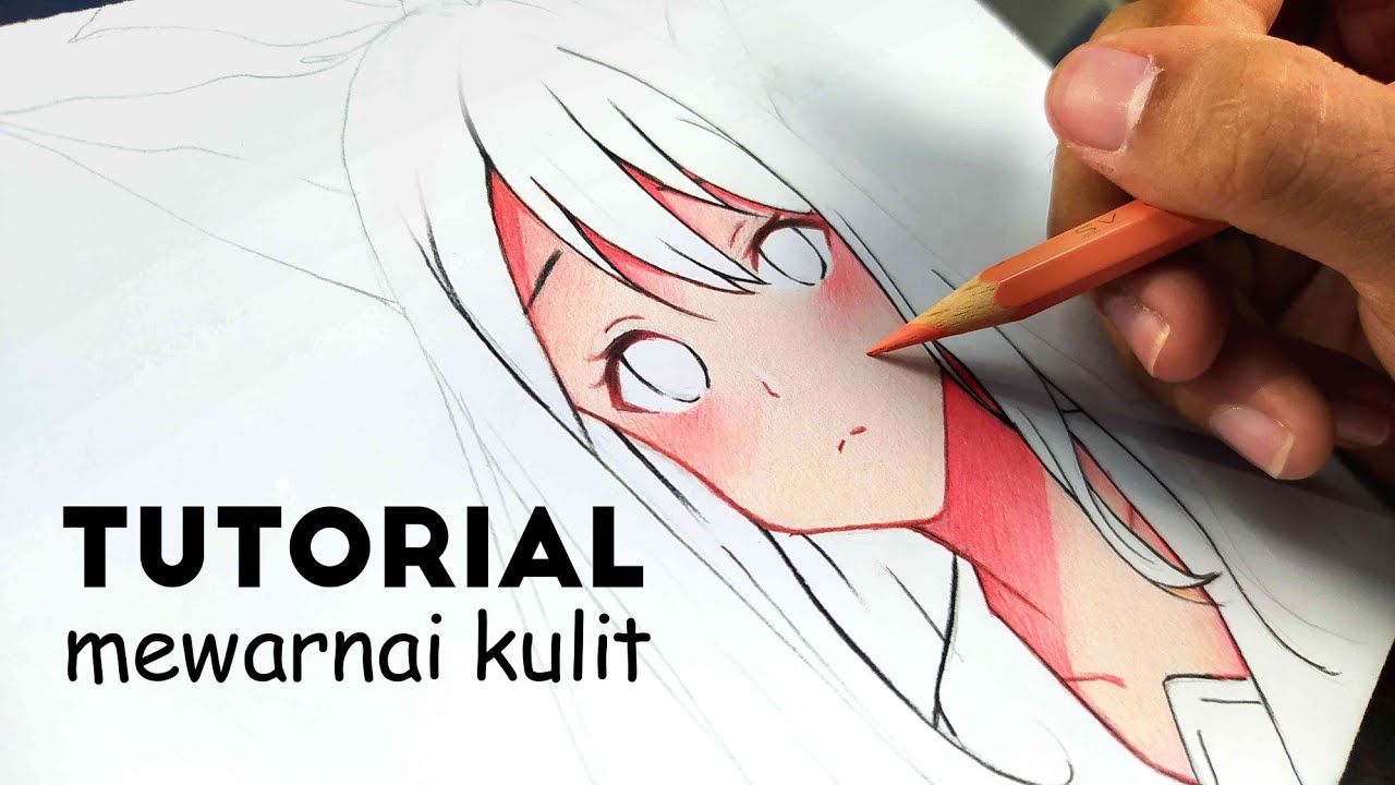 Detail Pensil Warna Untuk Menggambar Anime Nomer 3